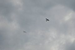img_1894_48